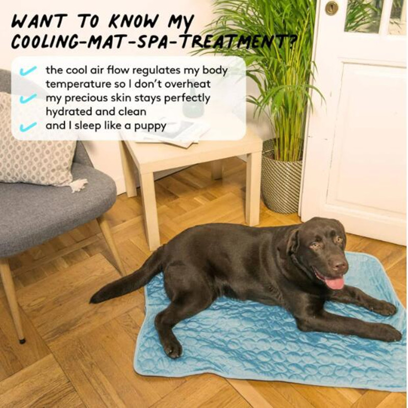 Tappetino Refrigerante Definit - Cooling Blanket Hot Sleepers recensione e prezzo